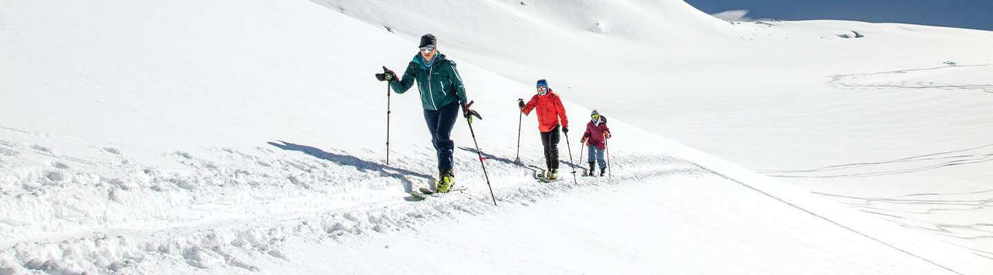 BSMP-INT-12 Group of backcountry skiers using climbing skins.
